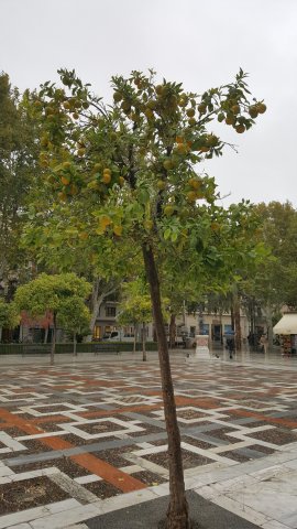 s110 plaza nueva